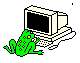 This is Frog Thye - One of our Website developers